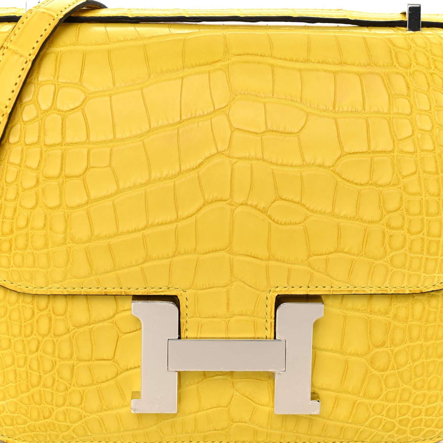 Matte Alligator Constance 18 Mimosa