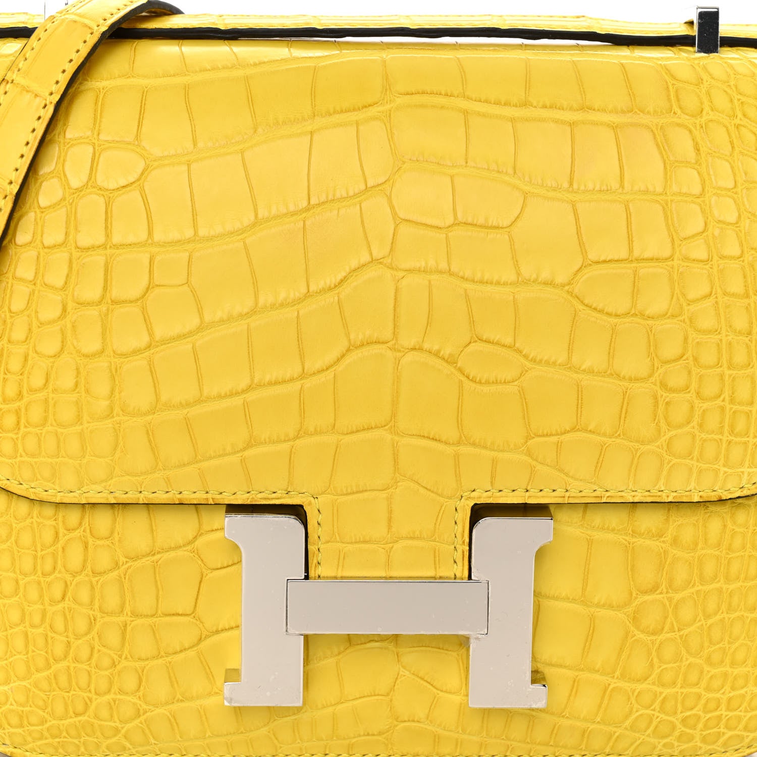 Hermes Matte Alligator Constance 18 Mimosa 8 of 10