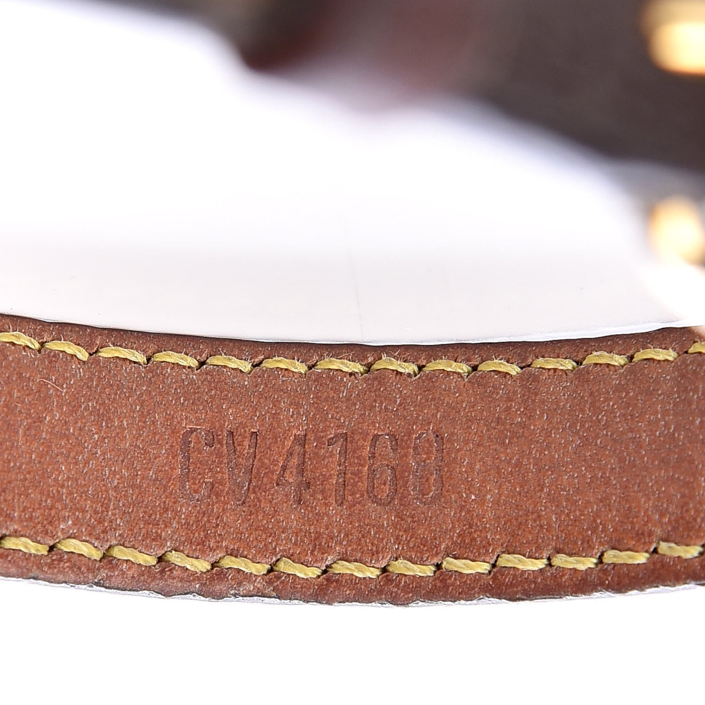 Monogram Baxter Dog Collar PM