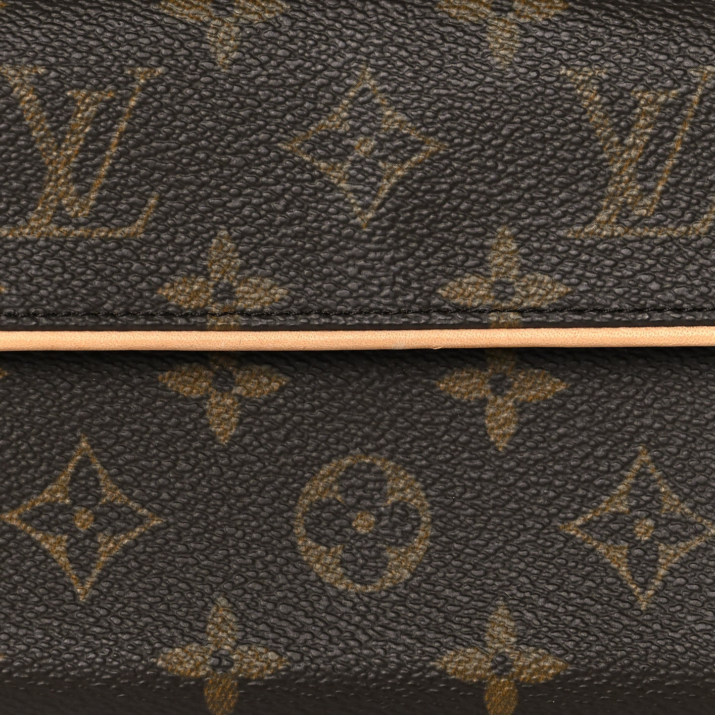 Monogram Pochette Florentine M