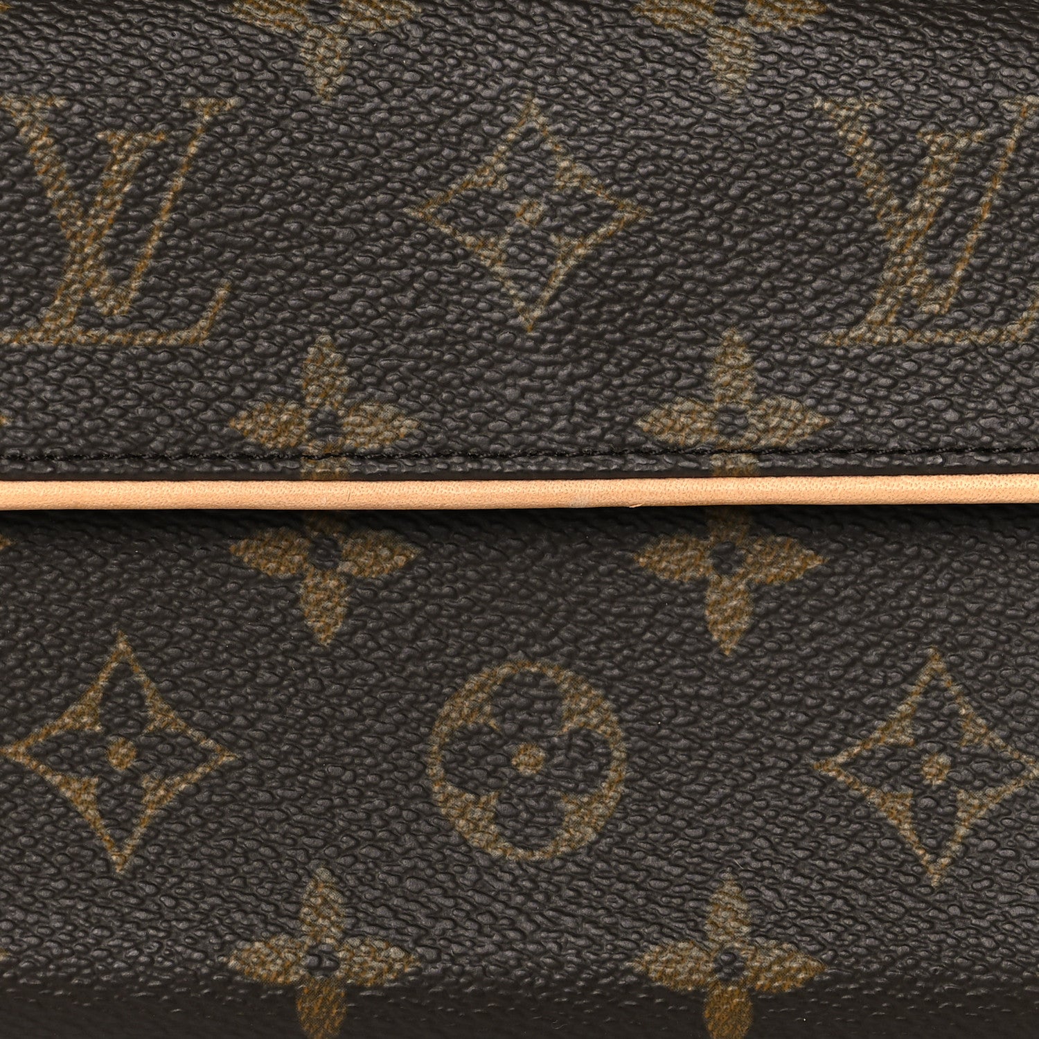 Louis Vuitton Monogram Pochette Florentine M 7 of 9