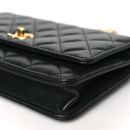 Chanel Lambskin Quilted Sweet Camellia Wallet On Chain WOC Black 11 of 13