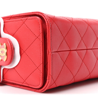 Chanel Caviar Quilted Mini Chanel 25 Handbag Dark Red 9 of 11