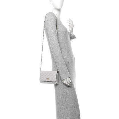 Chanel Lambskin Quilted Crystal CC Wallet On Chain WOC Grey 2 of 12