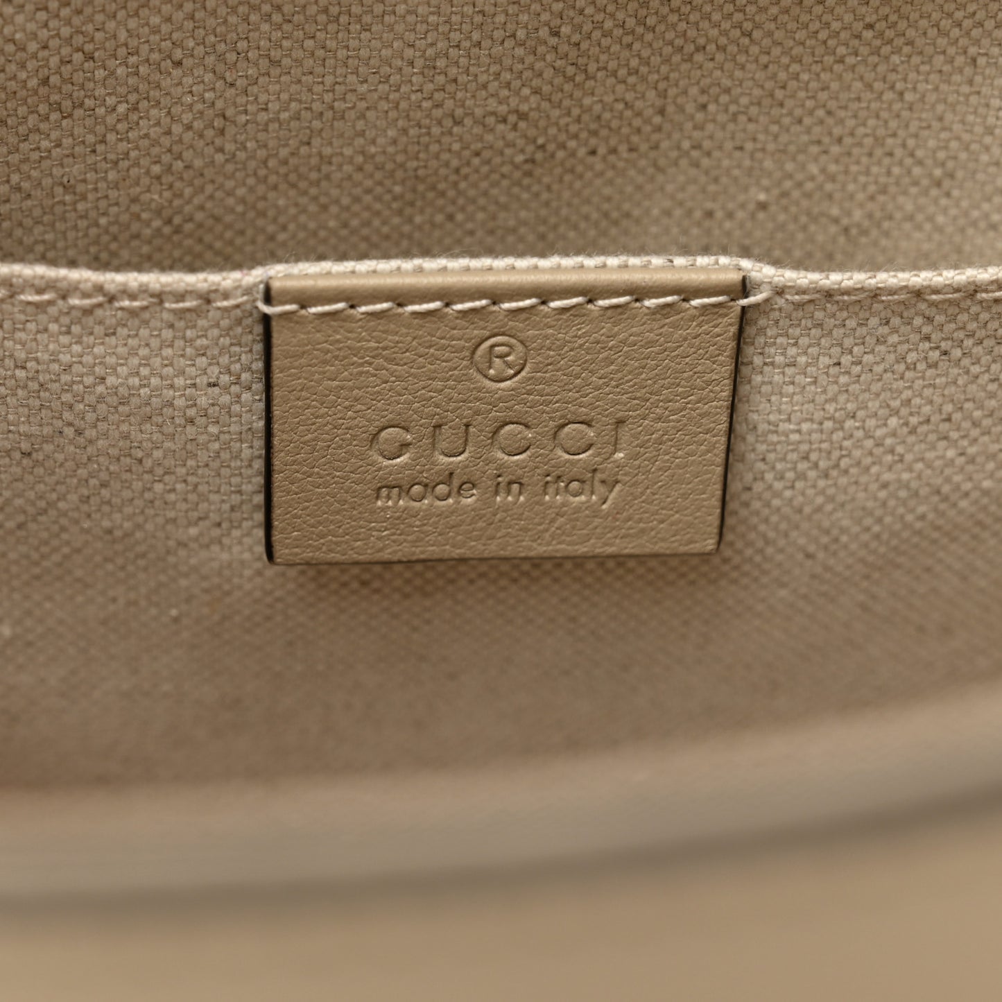 Textured Dollar Calfskin Web Small Diana Tote Bag Oatmeal Vintage Green