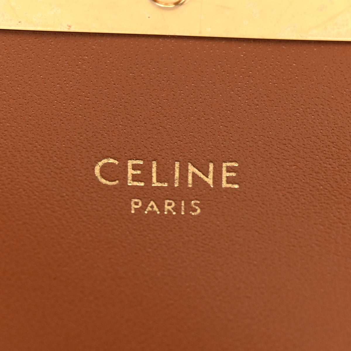 Calfskin Triomphe Canvas Teen Triomphe Bag Tan
