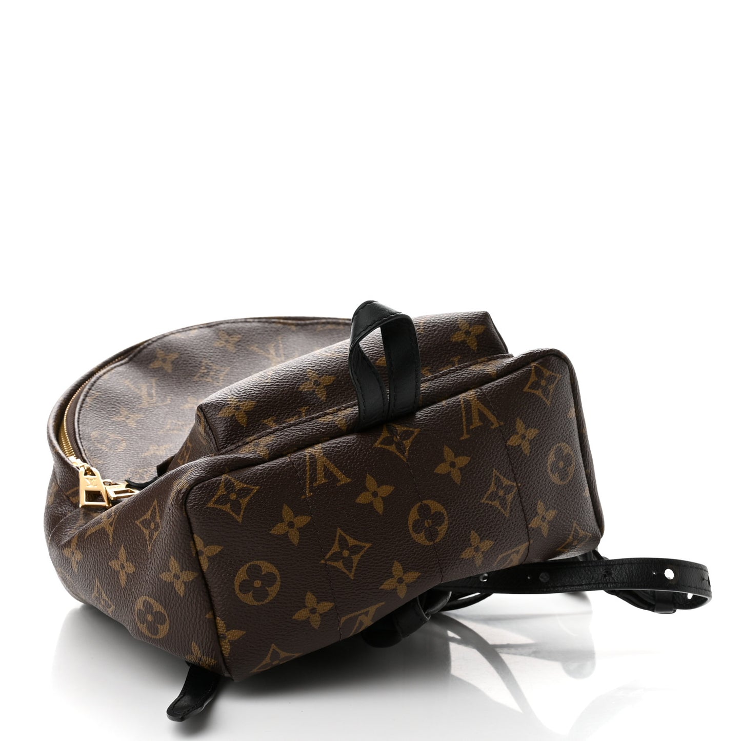 Monogram Palm Springs Backpack PM