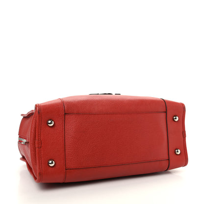Loewe Goatskin Amazona Flame 4 of 8