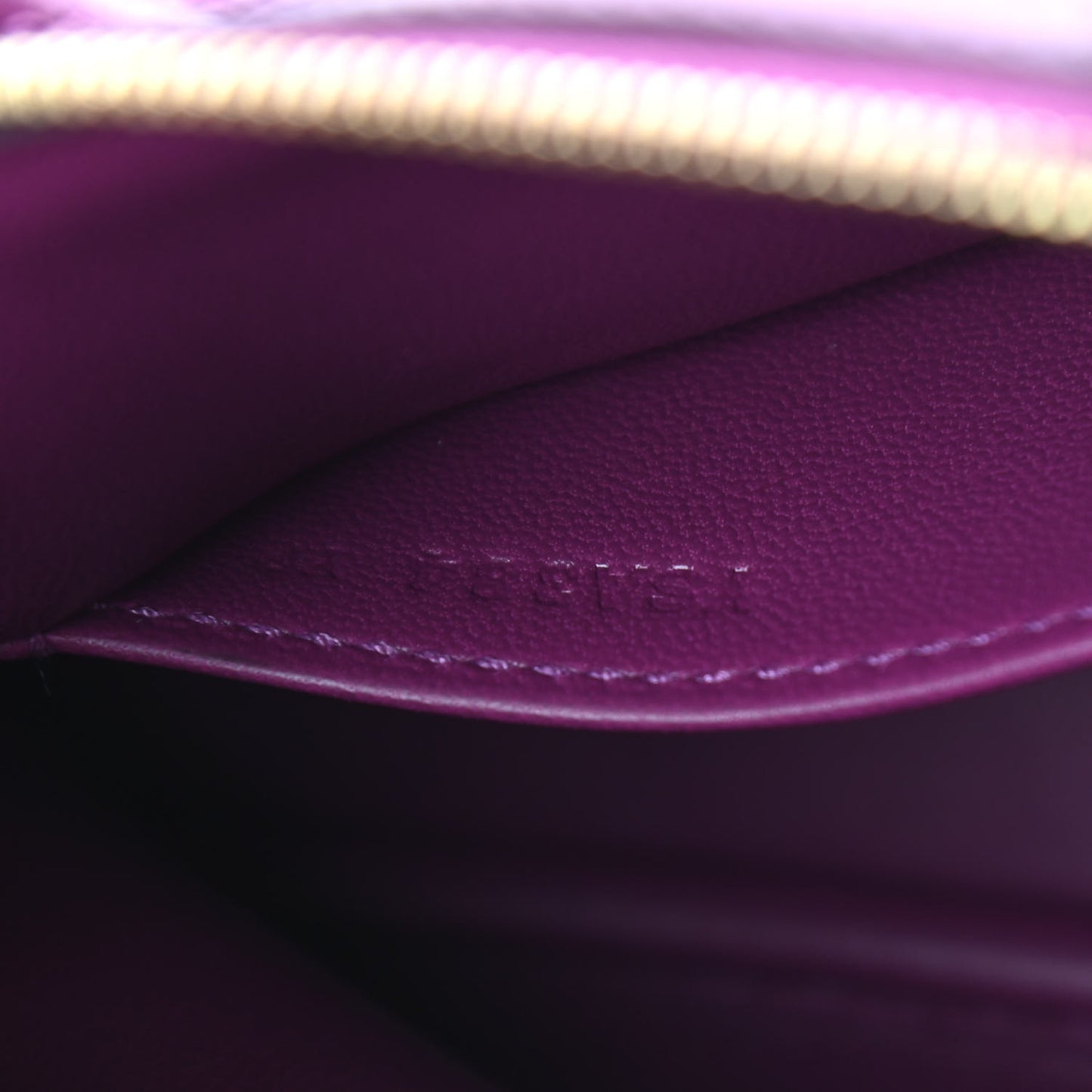 Evercolor Mini 1923 Bolide Anemone
