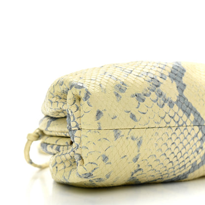 Bottega Veneta Goatskin Python Embossed The Mini Pouch Kiwi Black Silver 5 of 15