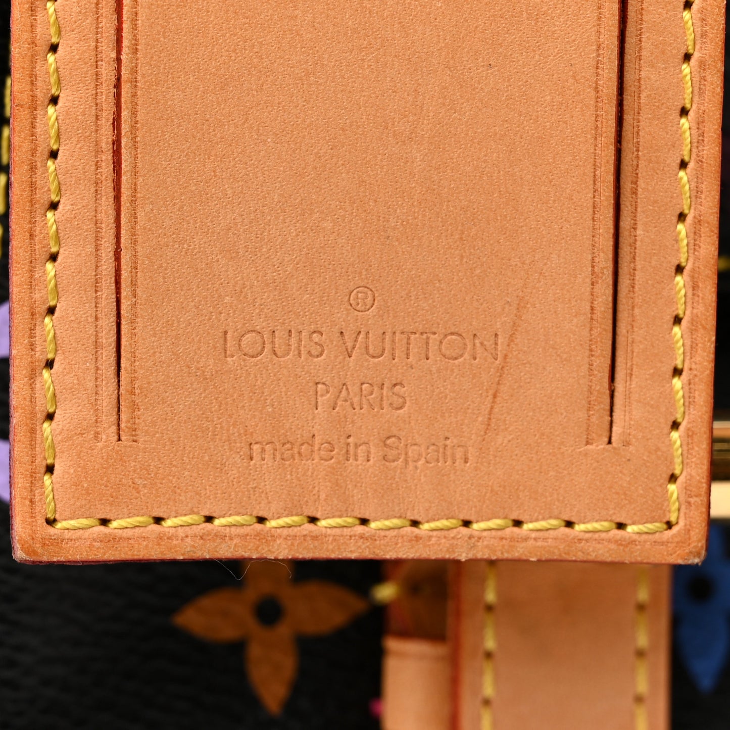 Monogram Multicolor Petit Noe Black