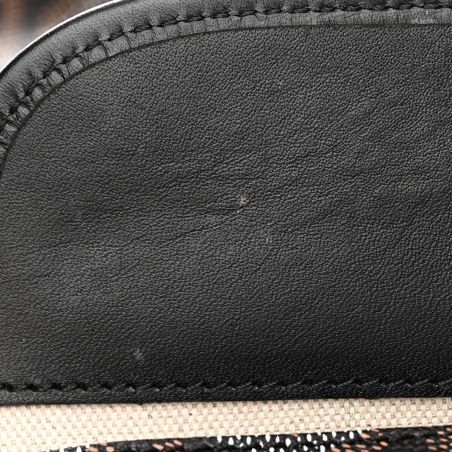 Goyard Goyardine Saint Louis PM Black 15 of 15