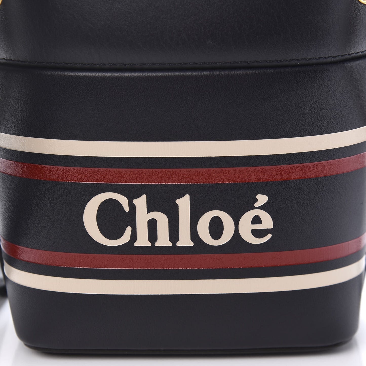 Smooth Calfskin Logo Mini Roy Bucket Bag Full Blue