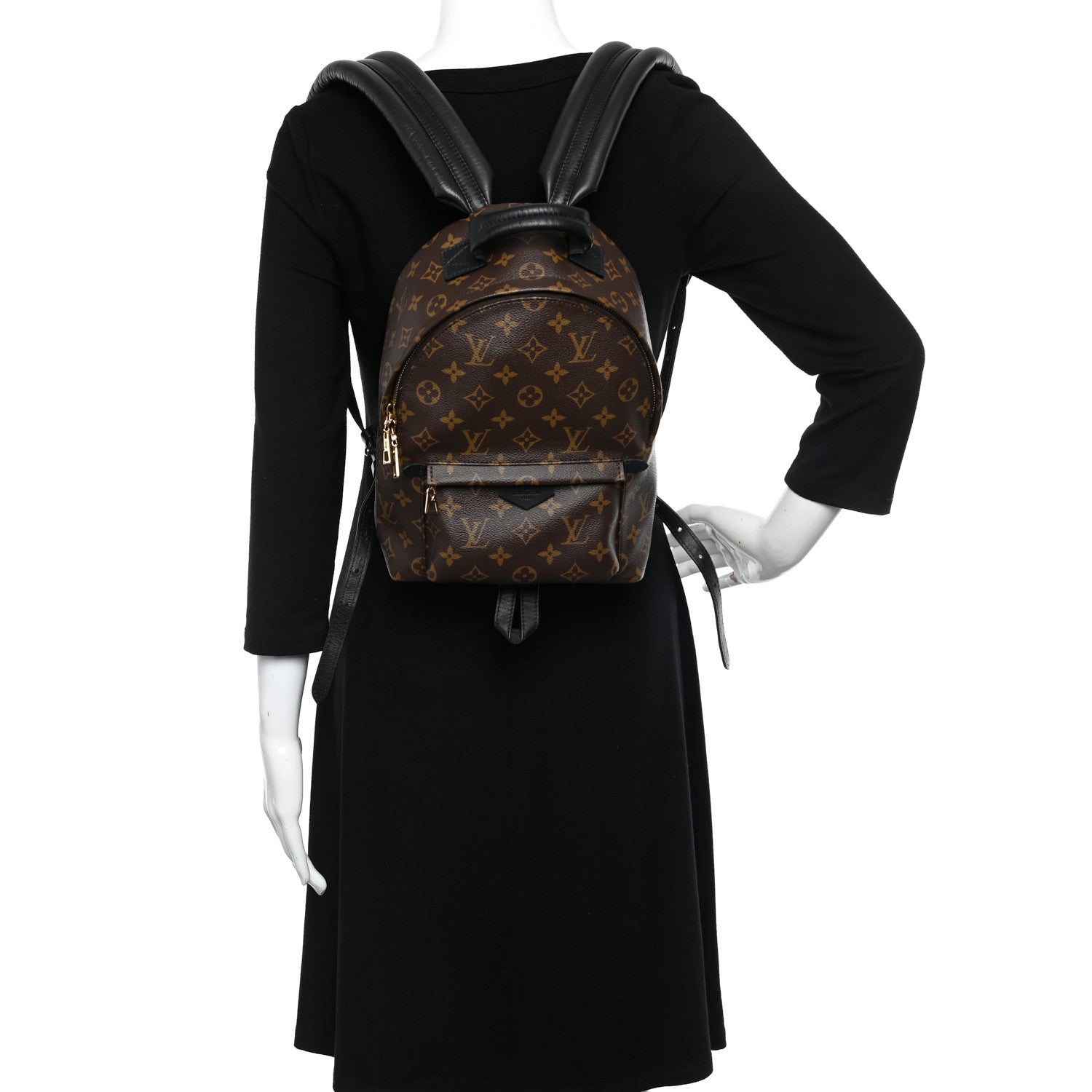 Louis Vuitton Monogram Palm Springs Backpack PM 2 of 10