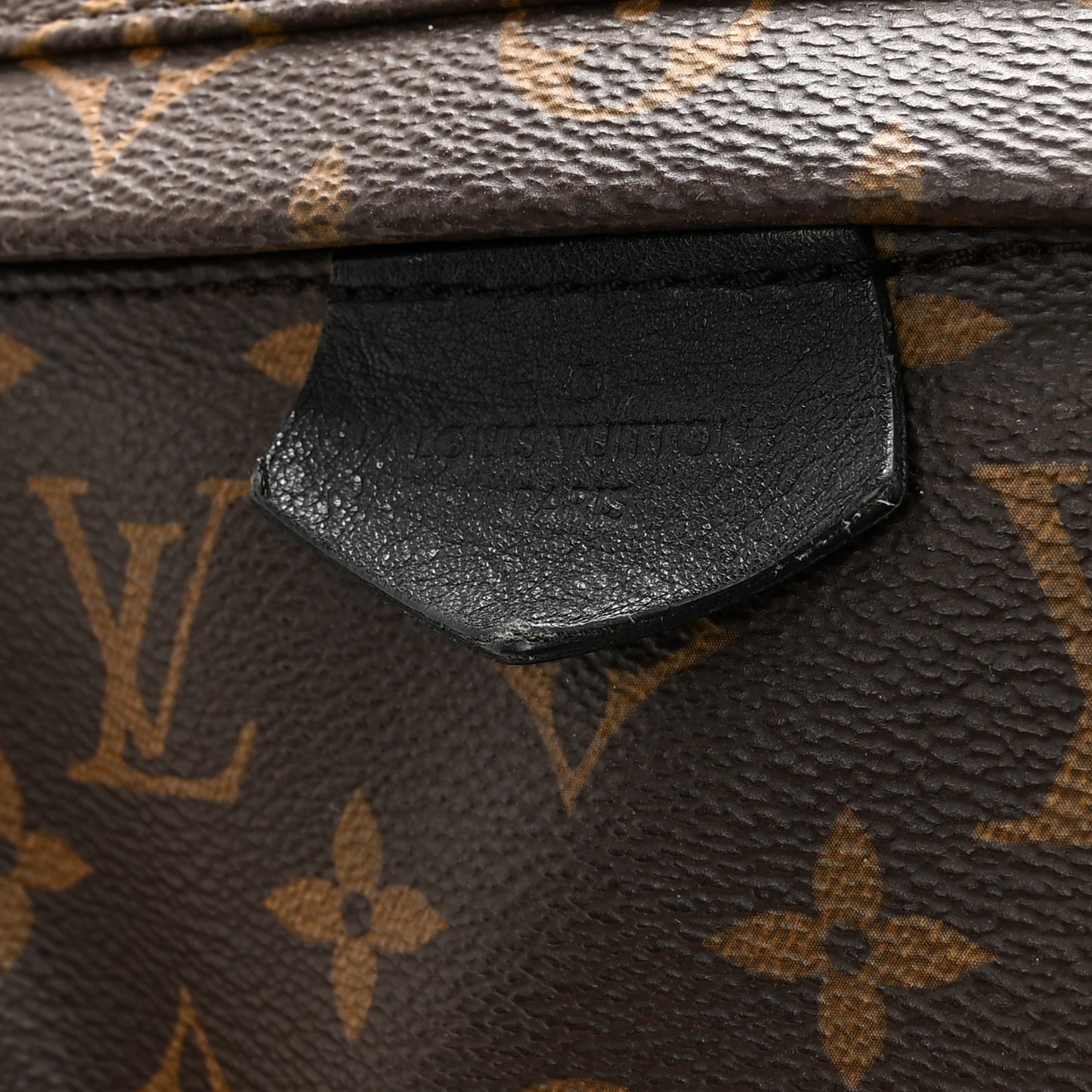 Monogram Palm Springs Backpack MM