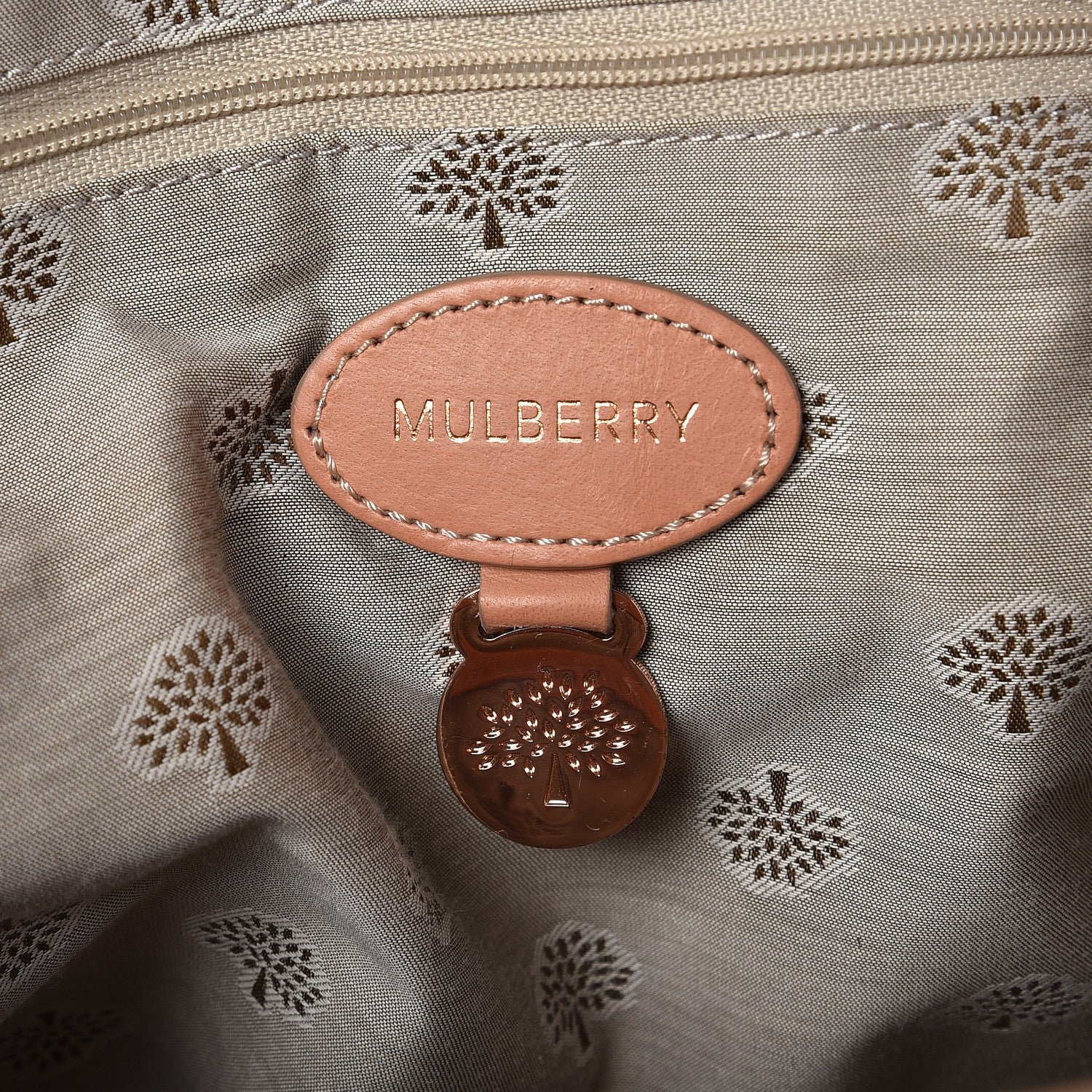 Mulberry Soft Buffalo Medium Alexa Plaster Pink 6 of 14