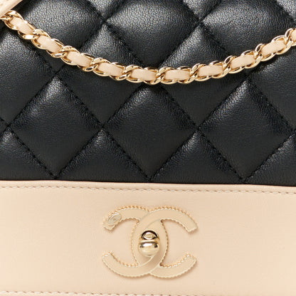 Chanel Sheepskin Quilted Medium Vintage Mademoiselle Flap Beige Black 10 of 12