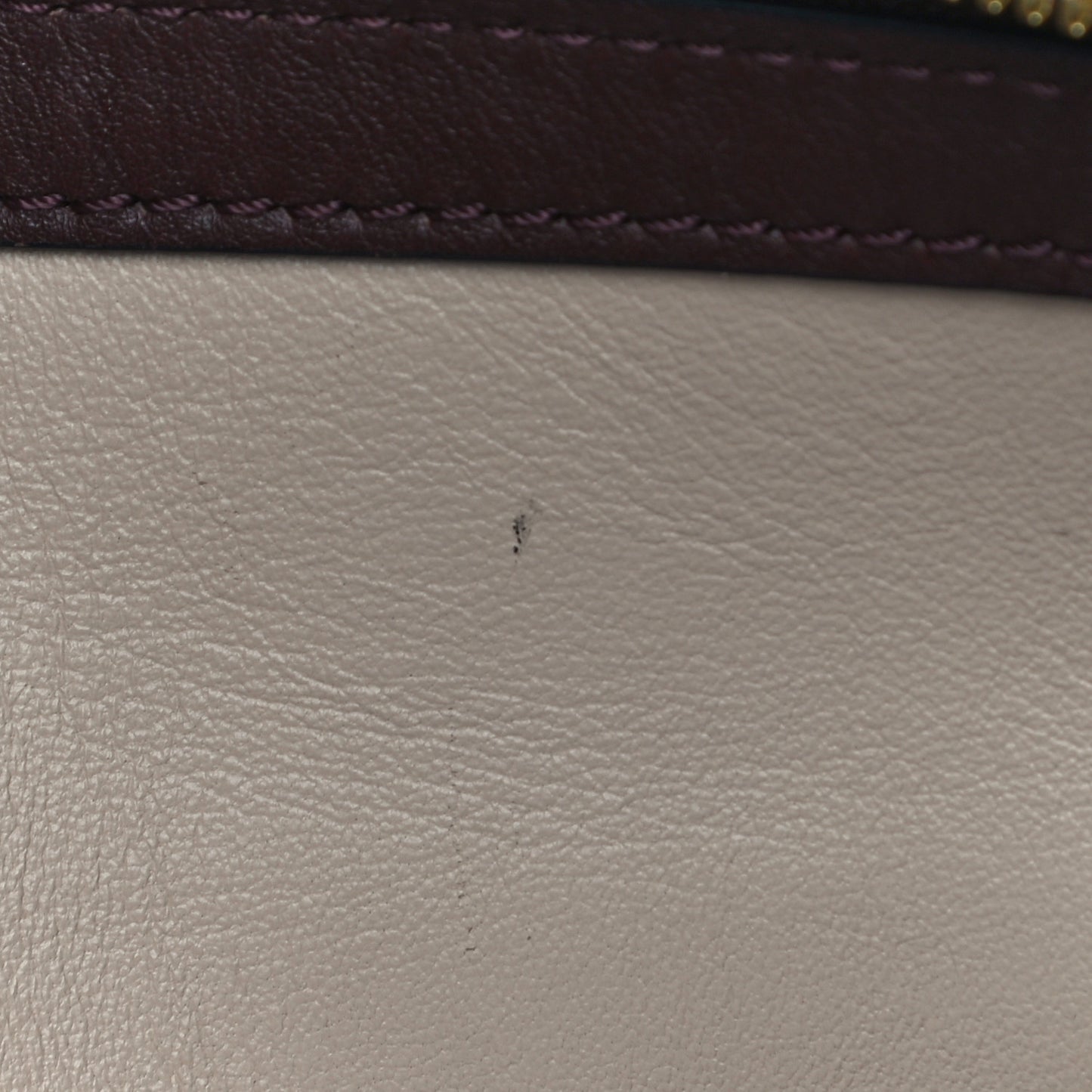 Calfskin Colored Monogram Speedy Amazon MM Chocolate White