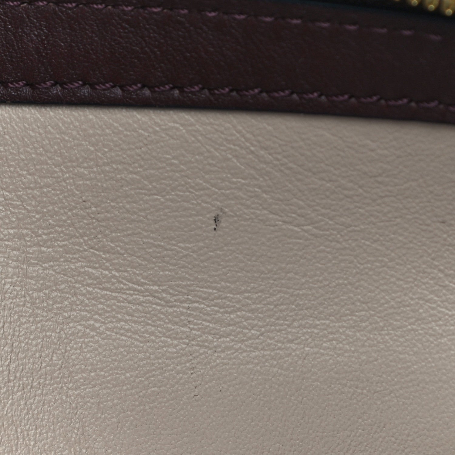 Louis Vuitton Calfskin Colored Monogram Speedy Amazon MM Chocolate White 10 of 14