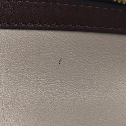 Louis Vuitton Calfskin Colored Monogram Speedy Amazon MM Chocolate White 10 of 14