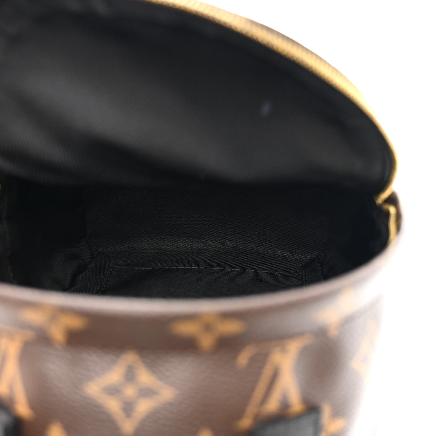 Louis Vuitton Monogram Palm Springs Backpack Mini 5 of 12
