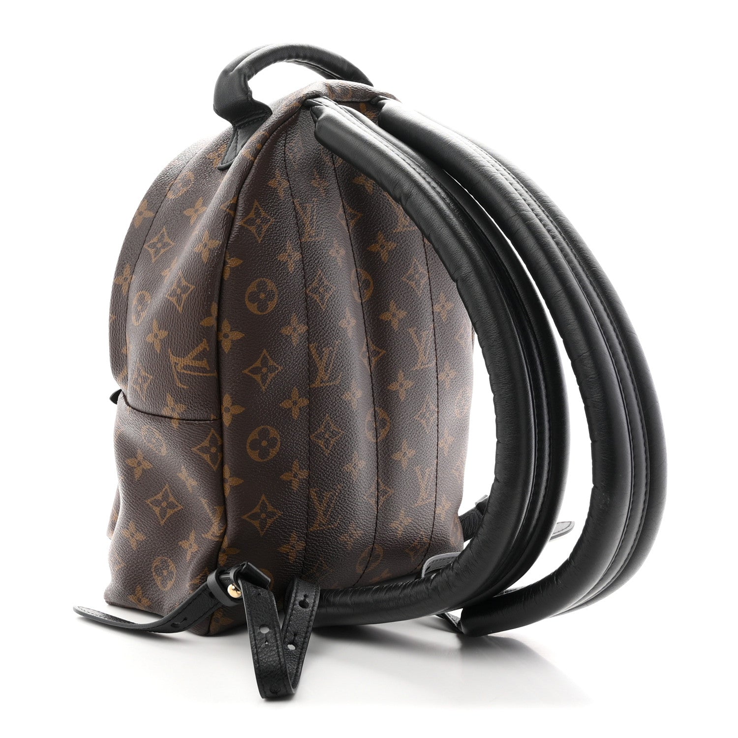 Louis Vuitton Monogram Palm Springs Backpack PM 3 of 9