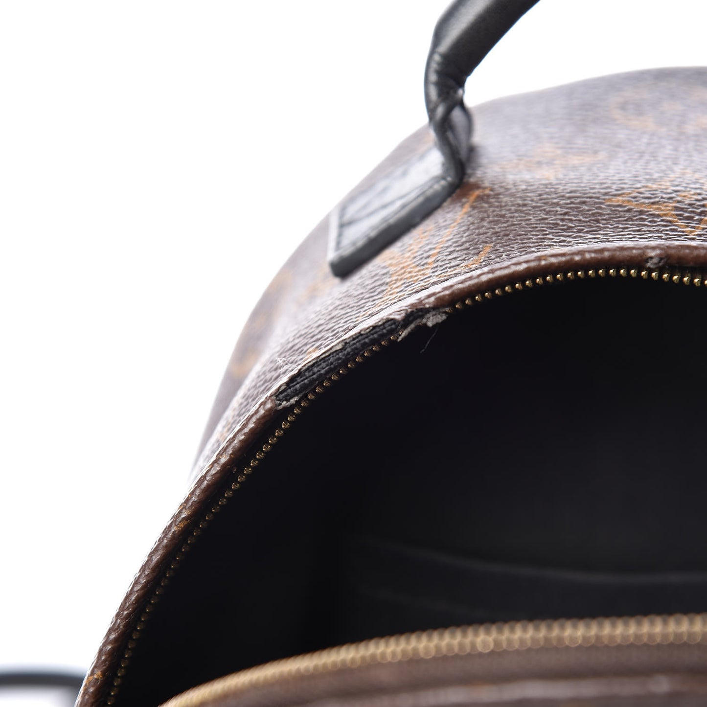 Monogram Palm Springs Backpack Mini