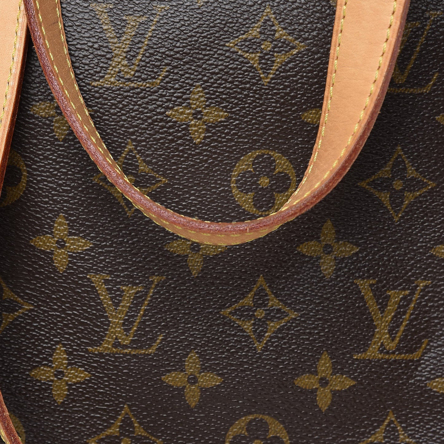 Monogram Cabas Mezzo
