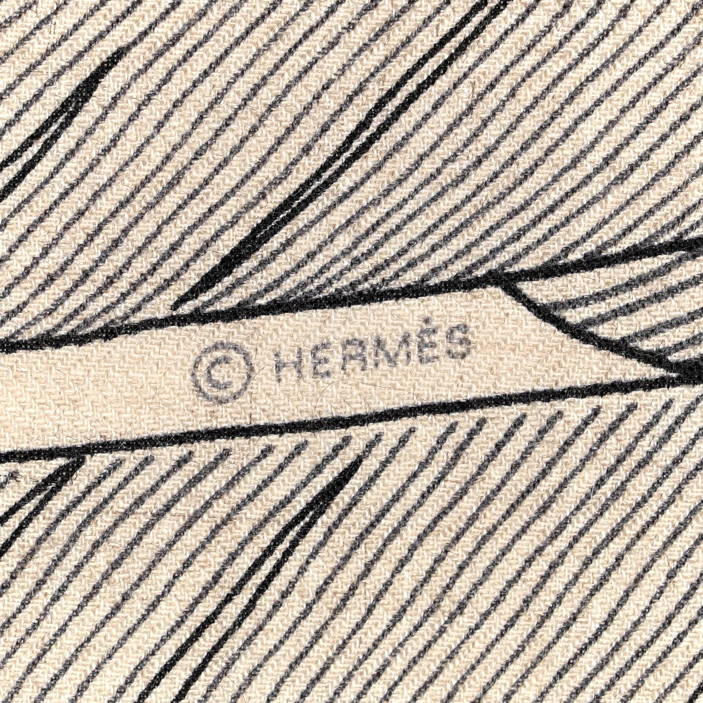 Cashmere Silk Plumes En Fete Shawl 140 Naturel Black