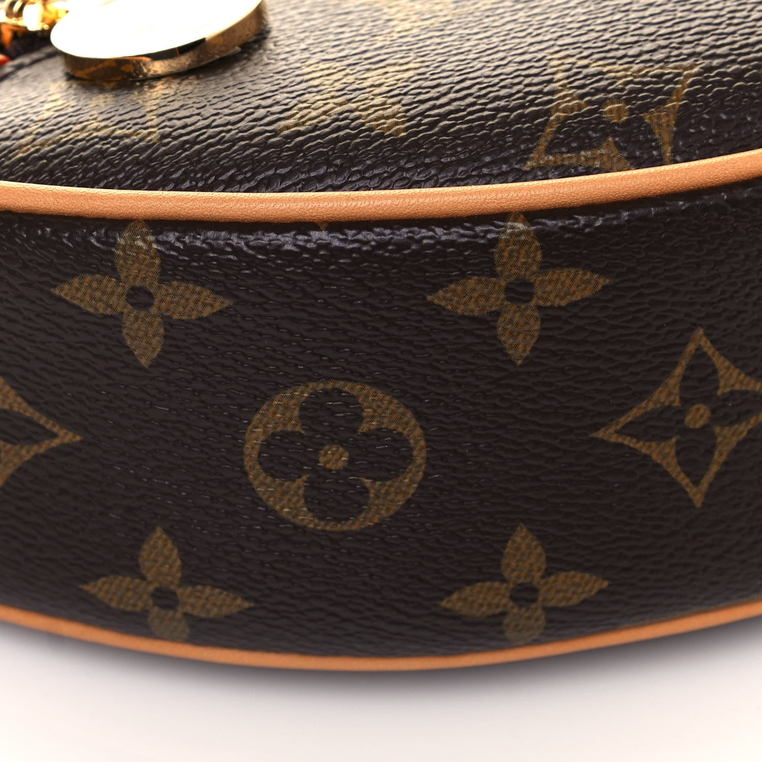 Louis Vuitton Monogram Loop 8 of 12
