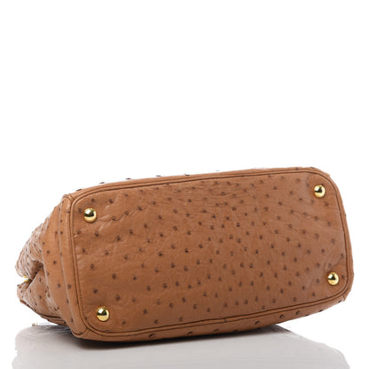 Prada Ostrich Small Galleria Double Zip Tote Cognac 4 of 9