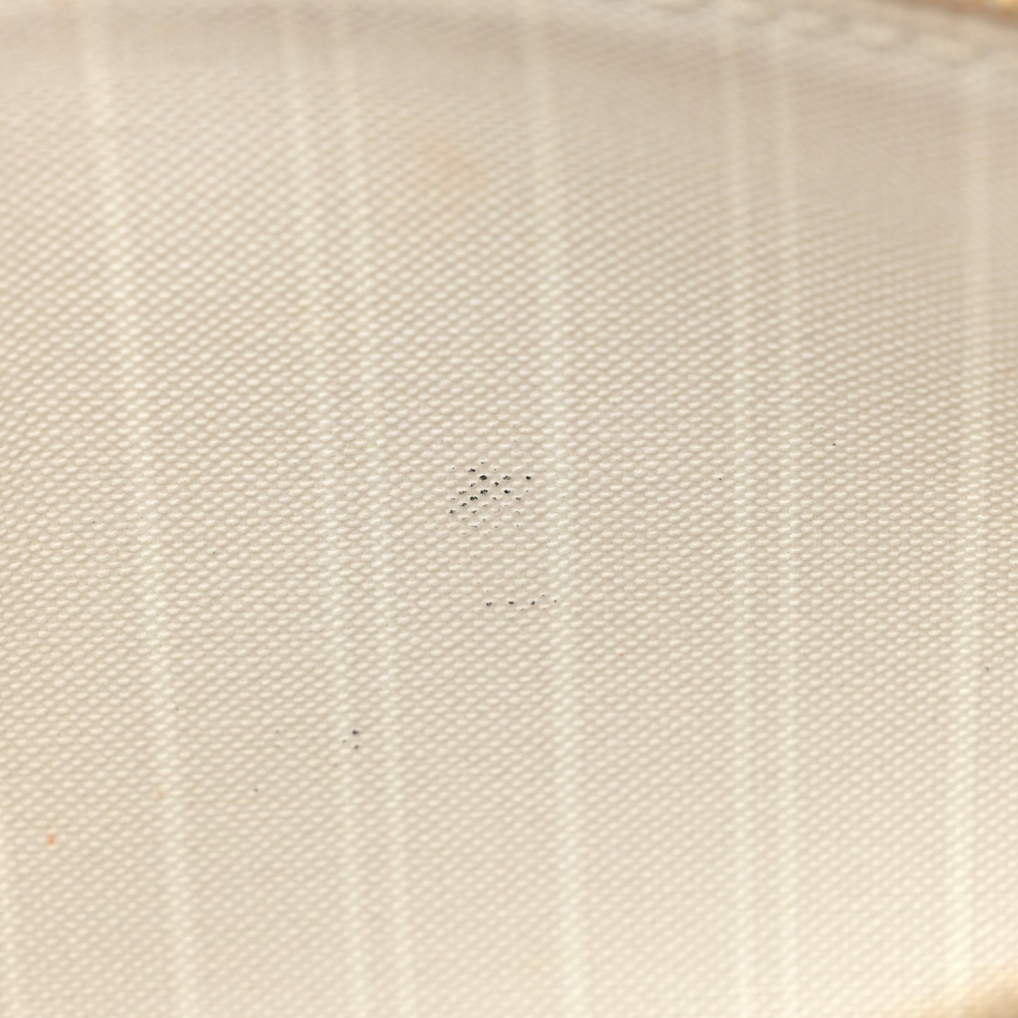 Monogram Giant By The Pool Multi Pochette Accessories Brume