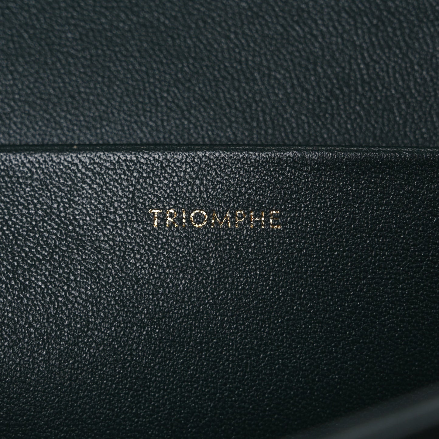 Shiny Calfskin Medium Triomphe Amazone
