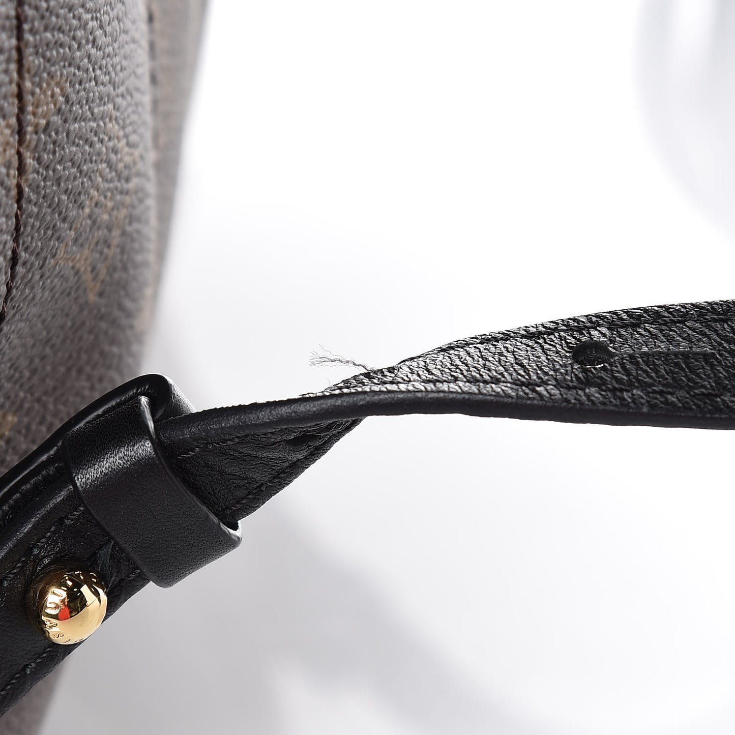 Monogram Palm Springs Backpack MM