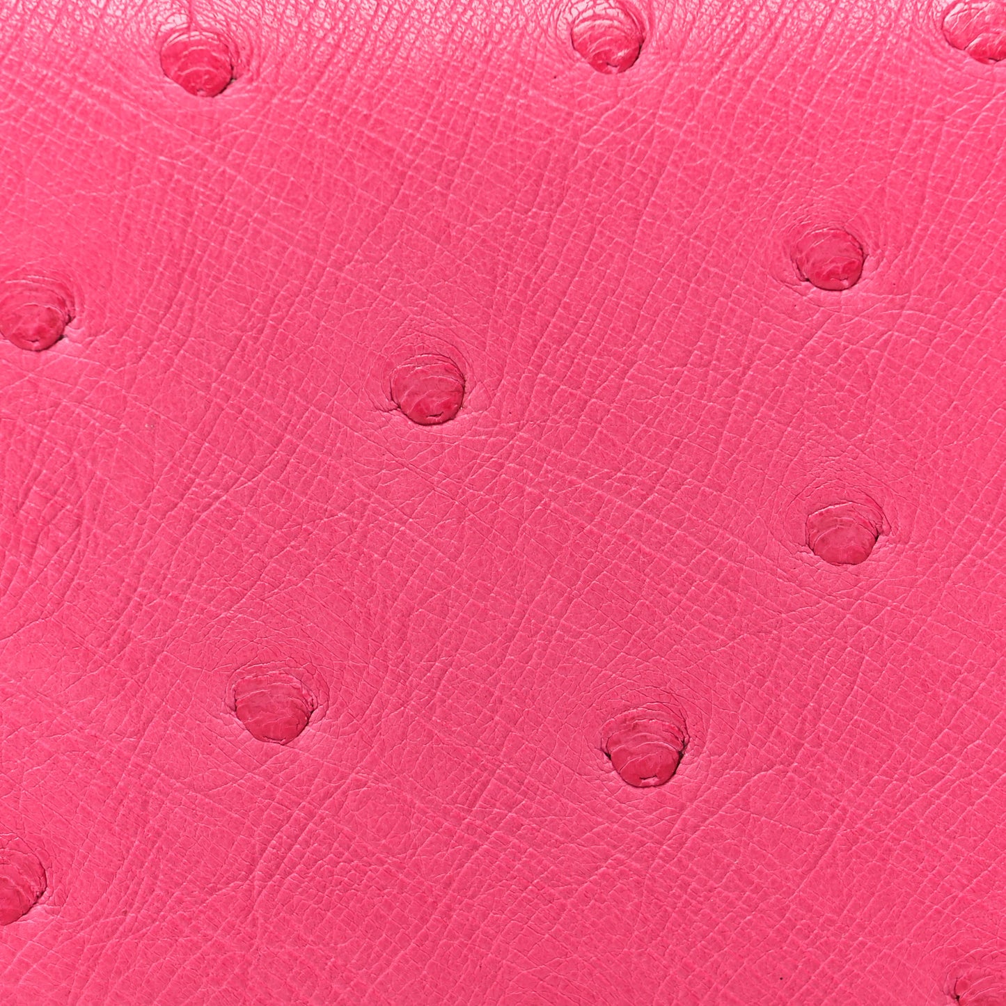 Ostrich Calvi Rose Tyrien