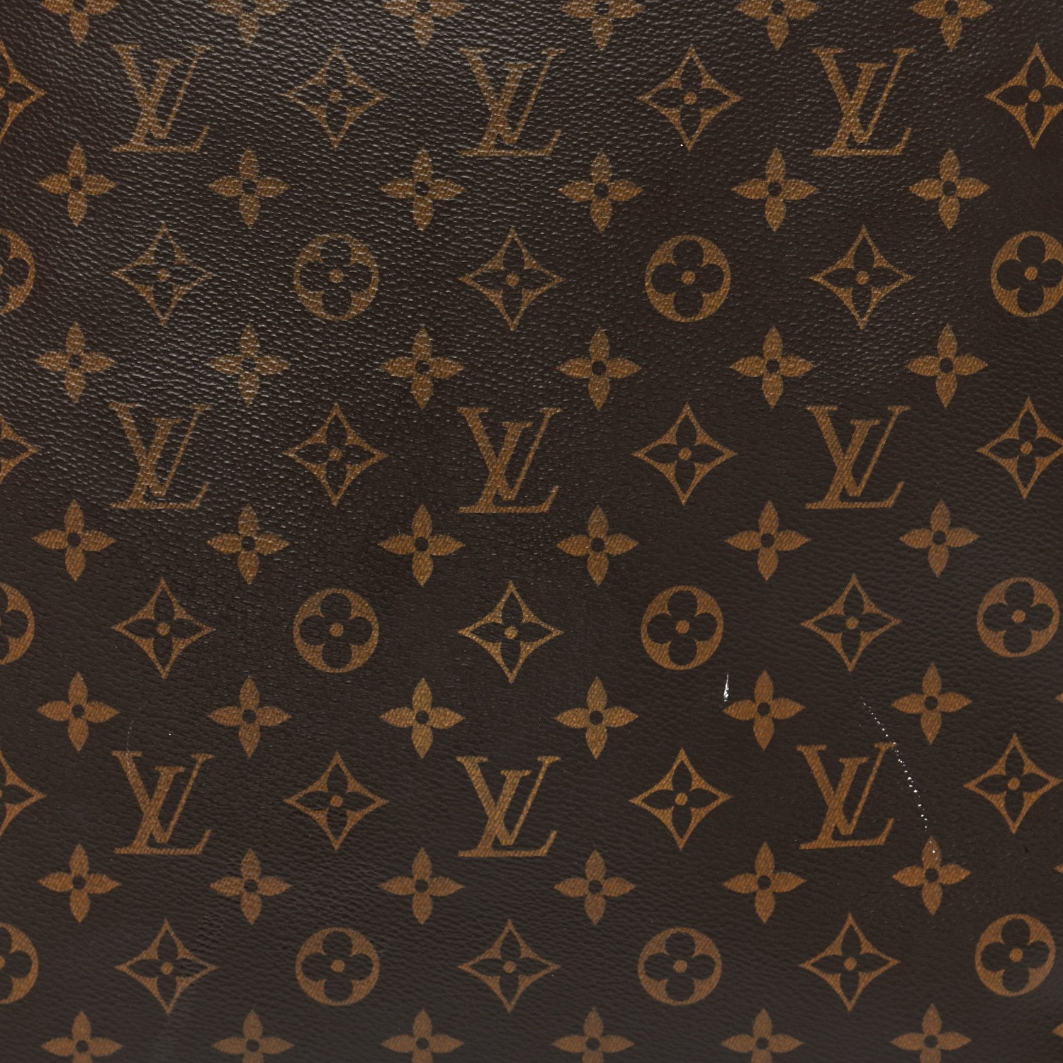 Louis Vuitton Monogram Carry It 9 of 13