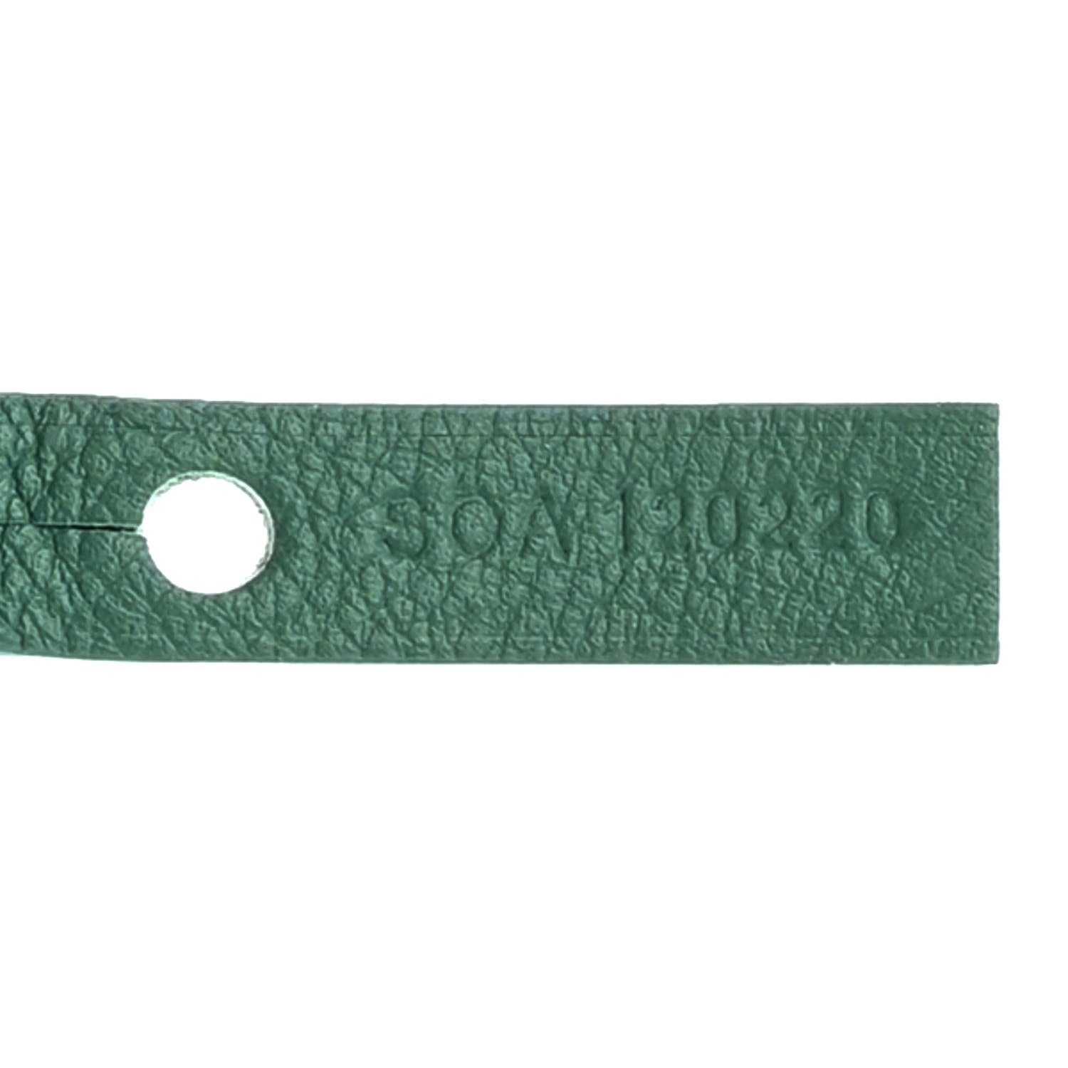 Goyard Goyardine Reversible Mini Anjou Green 8 of 10