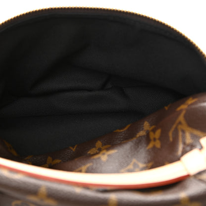 Louis Vuitton Monogram Bumbag 5 of 10
