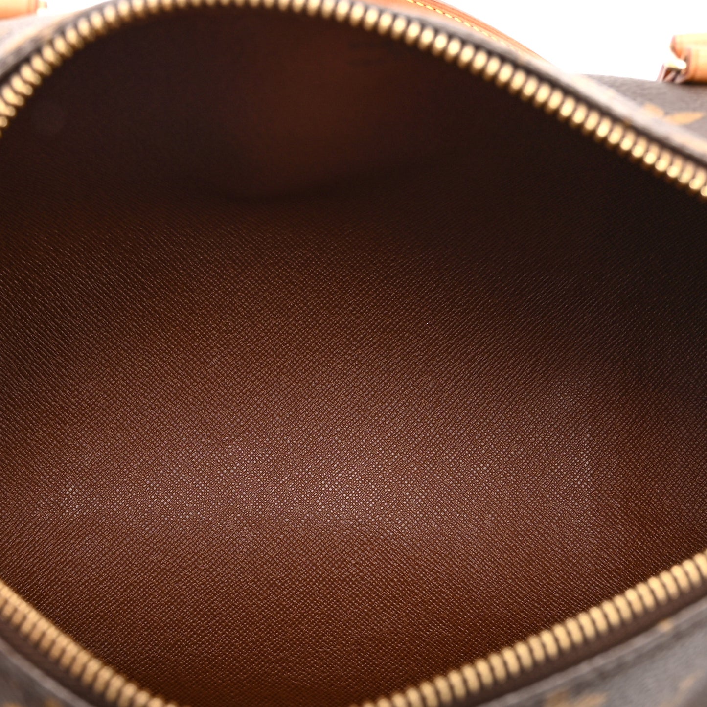 Monogram Papillon 30 with Companion