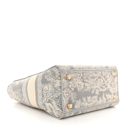 Christian Dior Canvas Toile De Jouy Reverse Embroidered Medium Lady D-Lite Gray 4 of 12