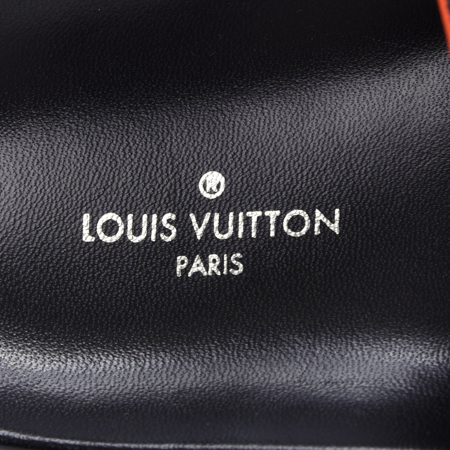 Louis Vuitton Catogram Bom Dia Flat Mule 40 Black Marron 8 of 11