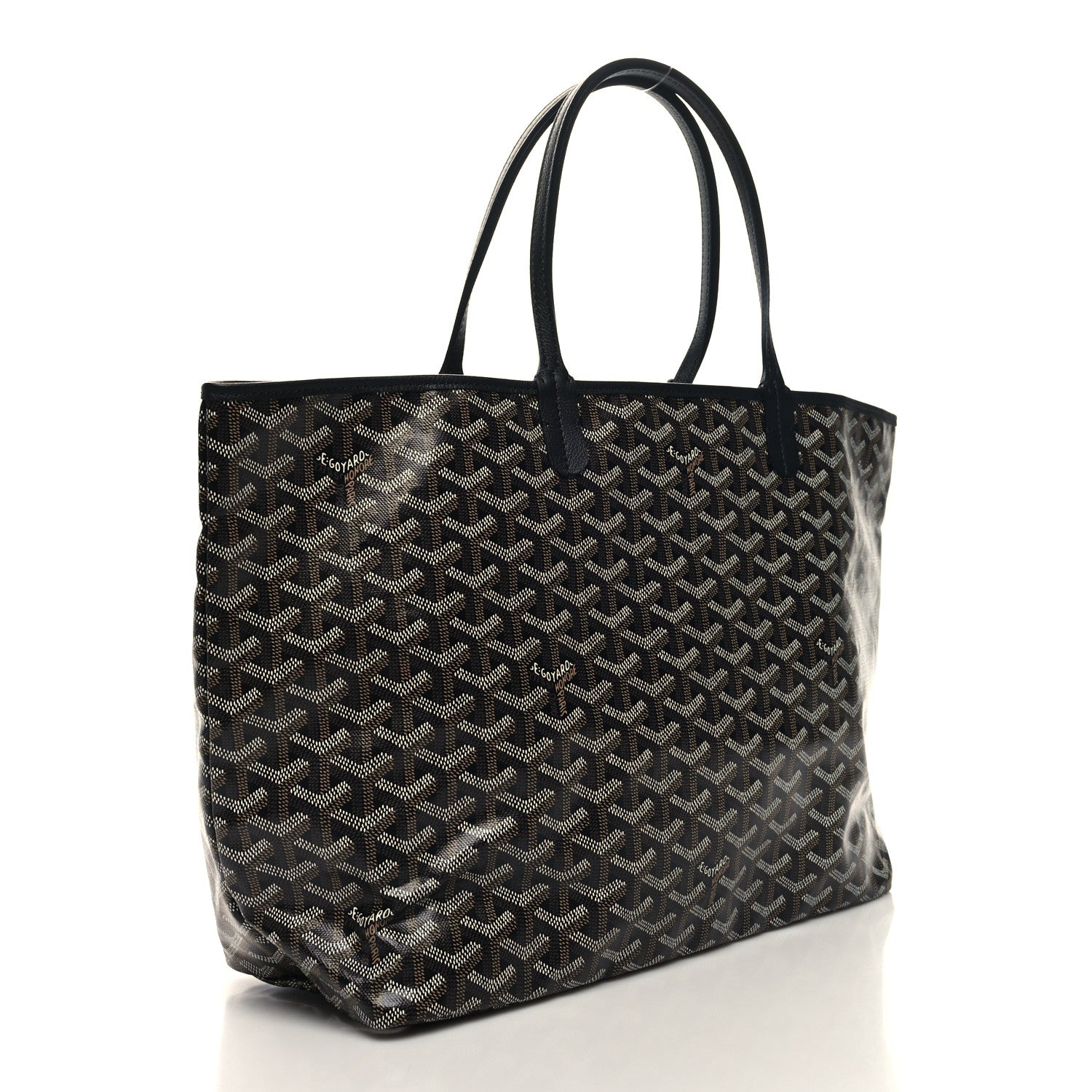 Goyard Goyardine Saint Louis PM Black 4 of 11