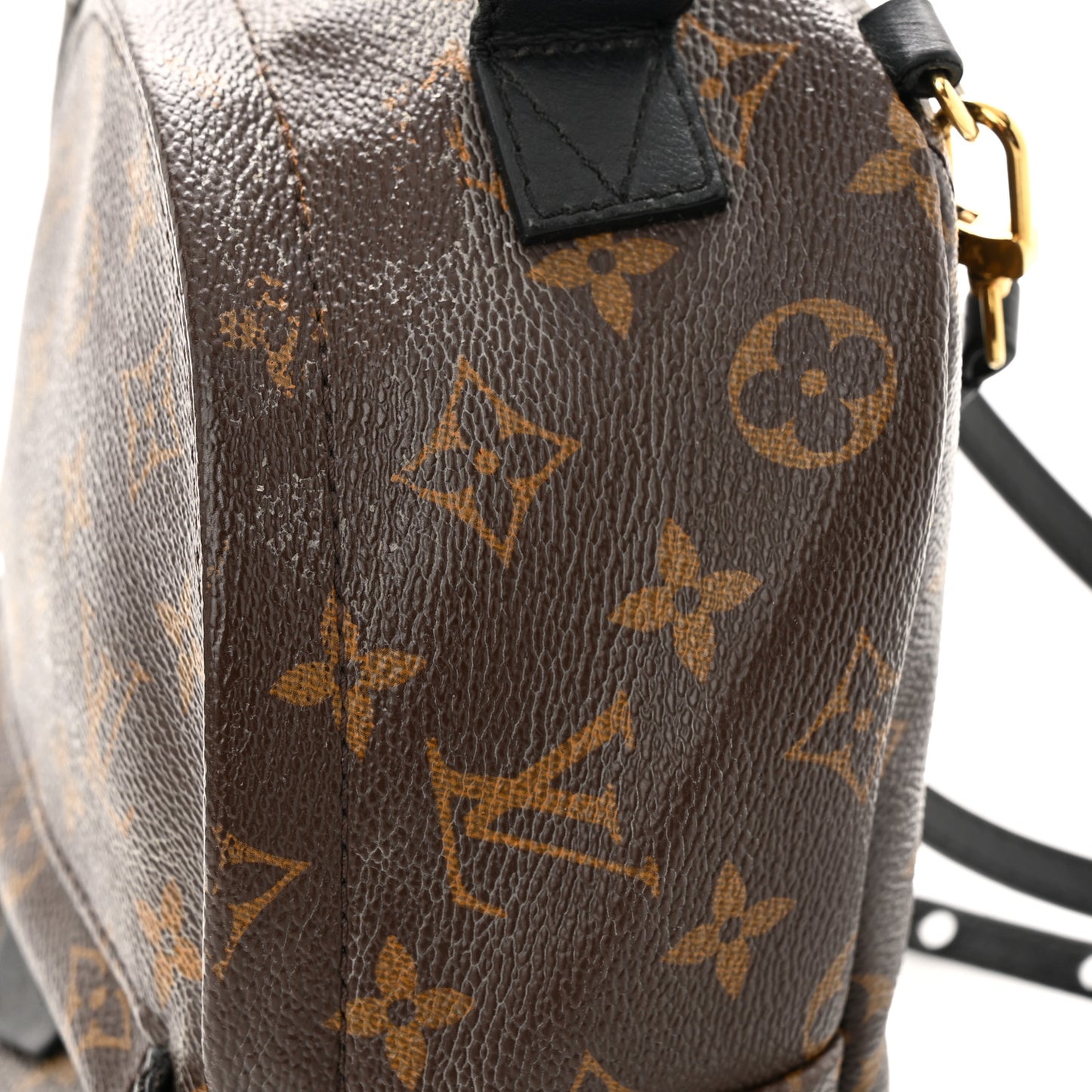 Monogram Palm Springs Backpack Mini