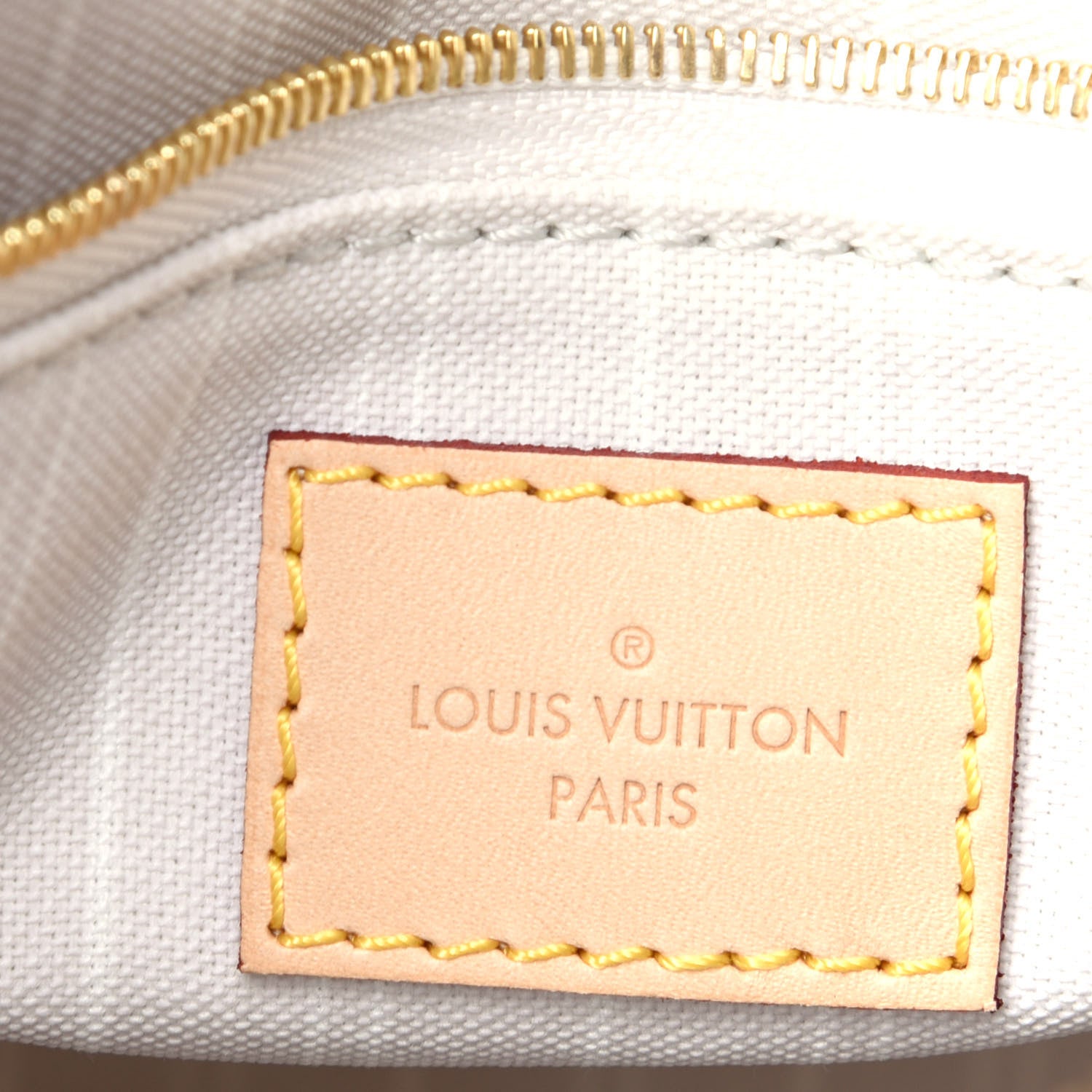 Louis Vuitton Monogram Giant By The Pool Speedy Bandouliere 25 Brume 5 of 11