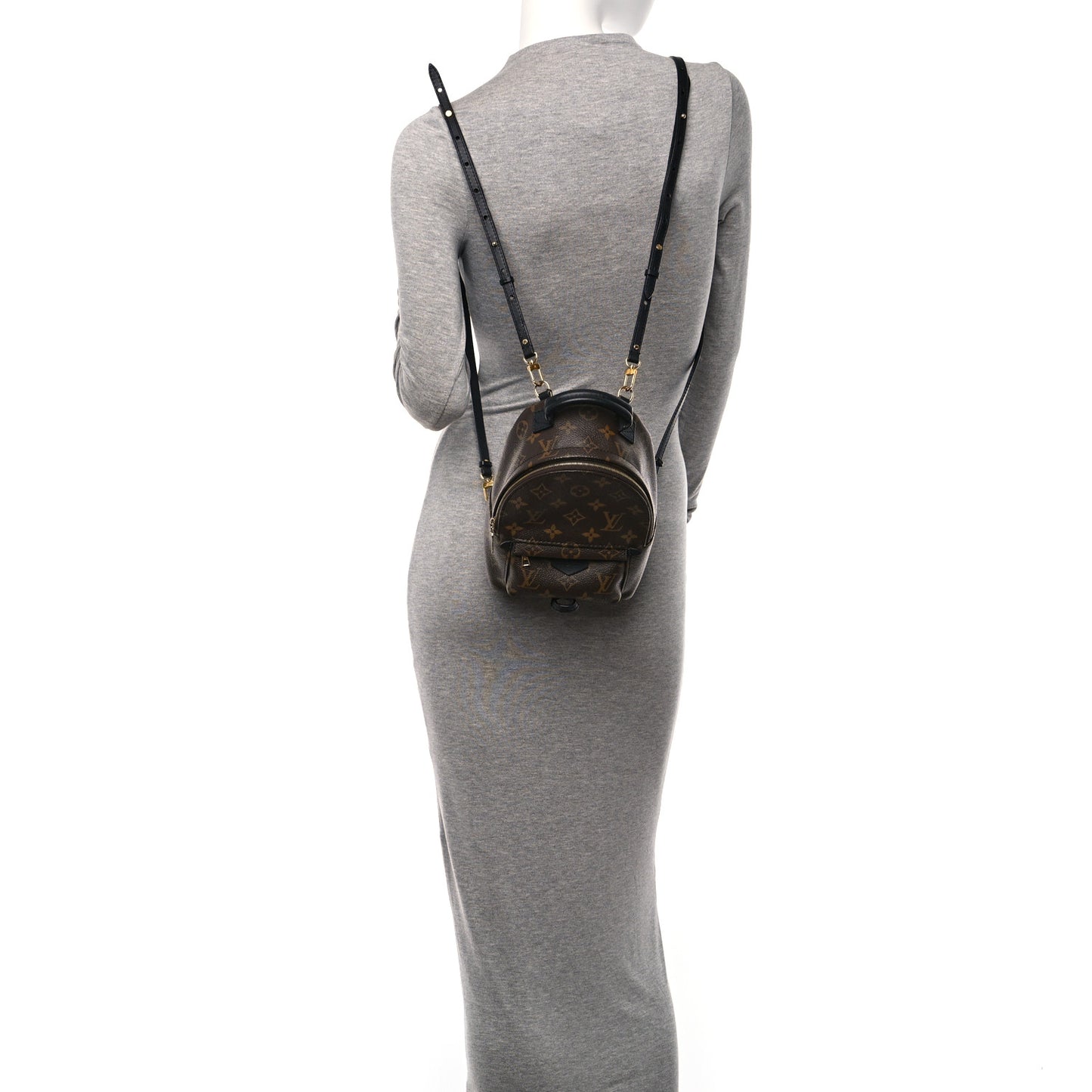 Monogram Palm Springs Backpack Mini