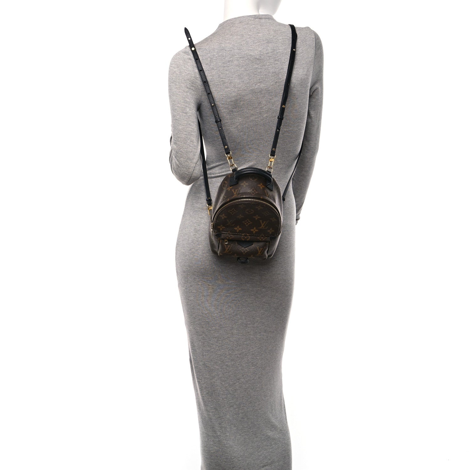 Louis Vuitton Monogram Palm Springs Backpack Mini 2 of 10