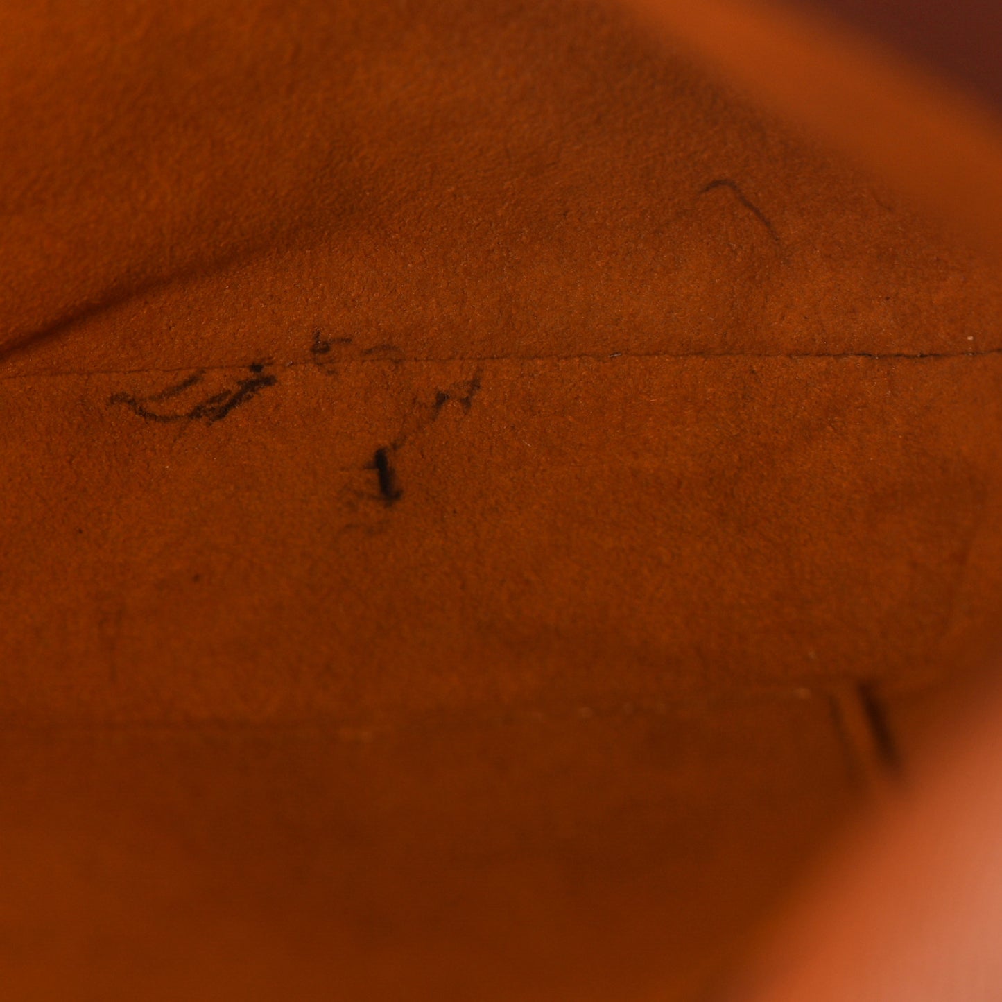 Monogram Musette Tango