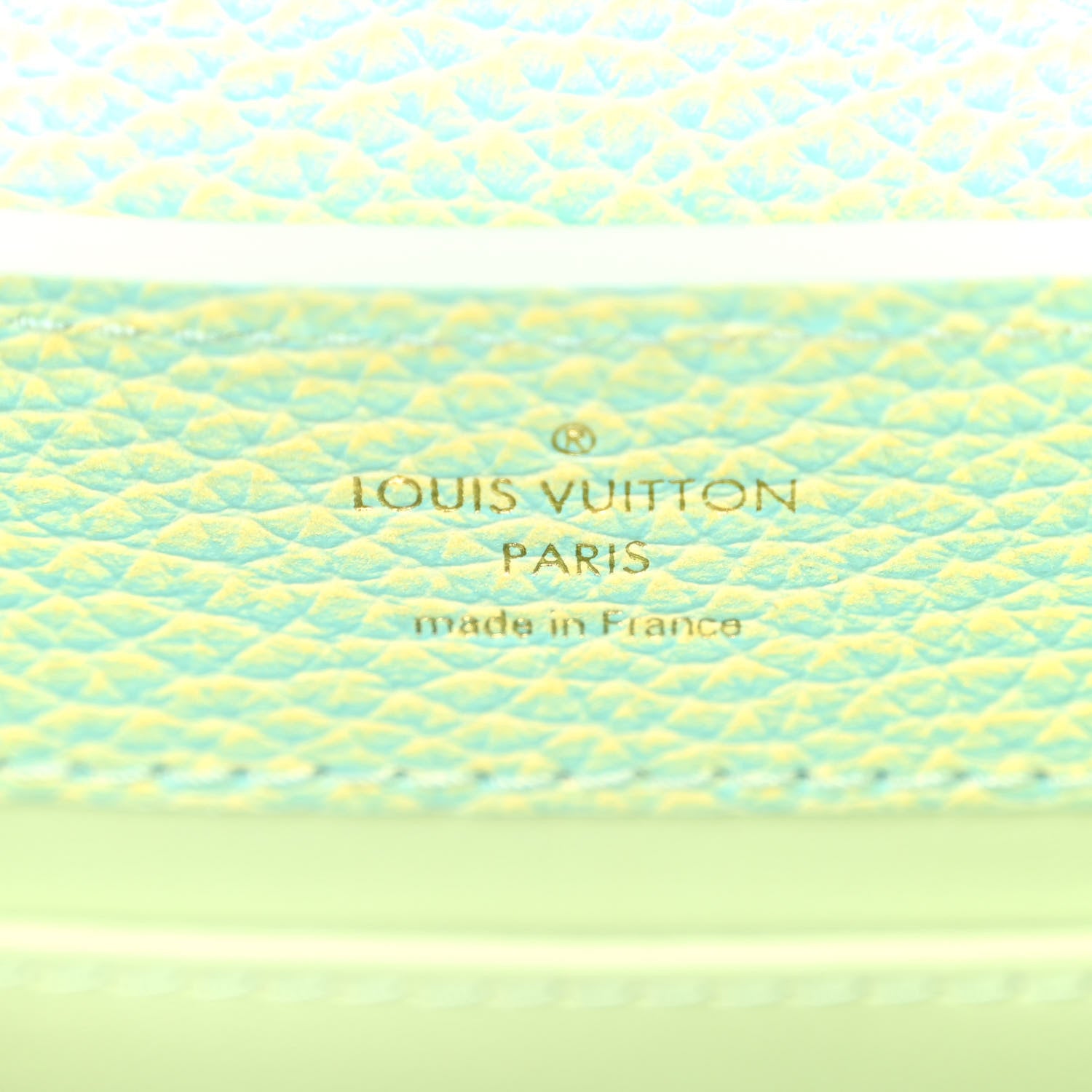 Louis Vuitton Taurillon Summer Stardust Mini Capucines Vert D'eau 6 of 9