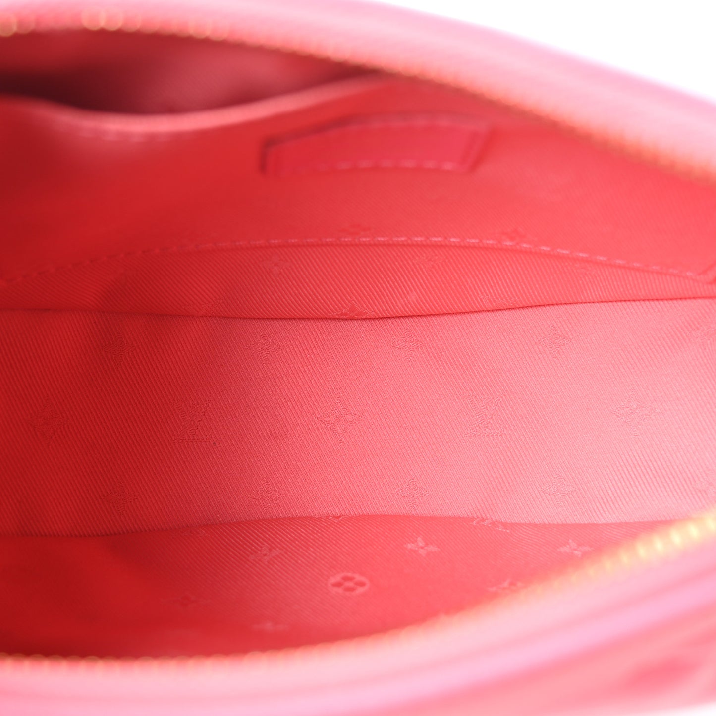 Calfskin Bubblegram Over The Moon Dragon Fruit