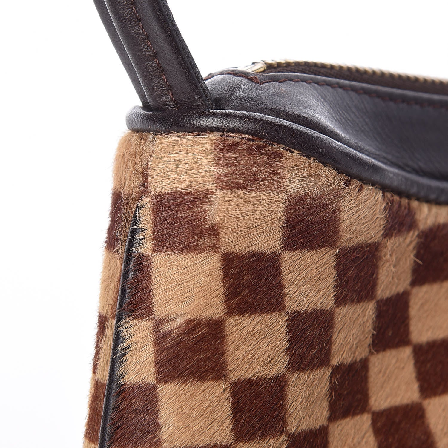 Louis Vuitton Calf Hair Damier Sauvage Tigre 12 of 12